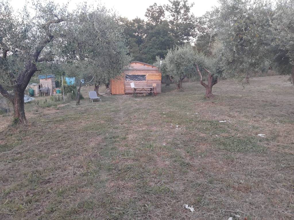 Terreno a Gavorrano in Via Vecchia Aurelia - Foto 3