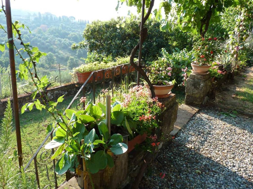 Rustico / casale a Lucca in Strada Provinciale del Morianese - Foto 5