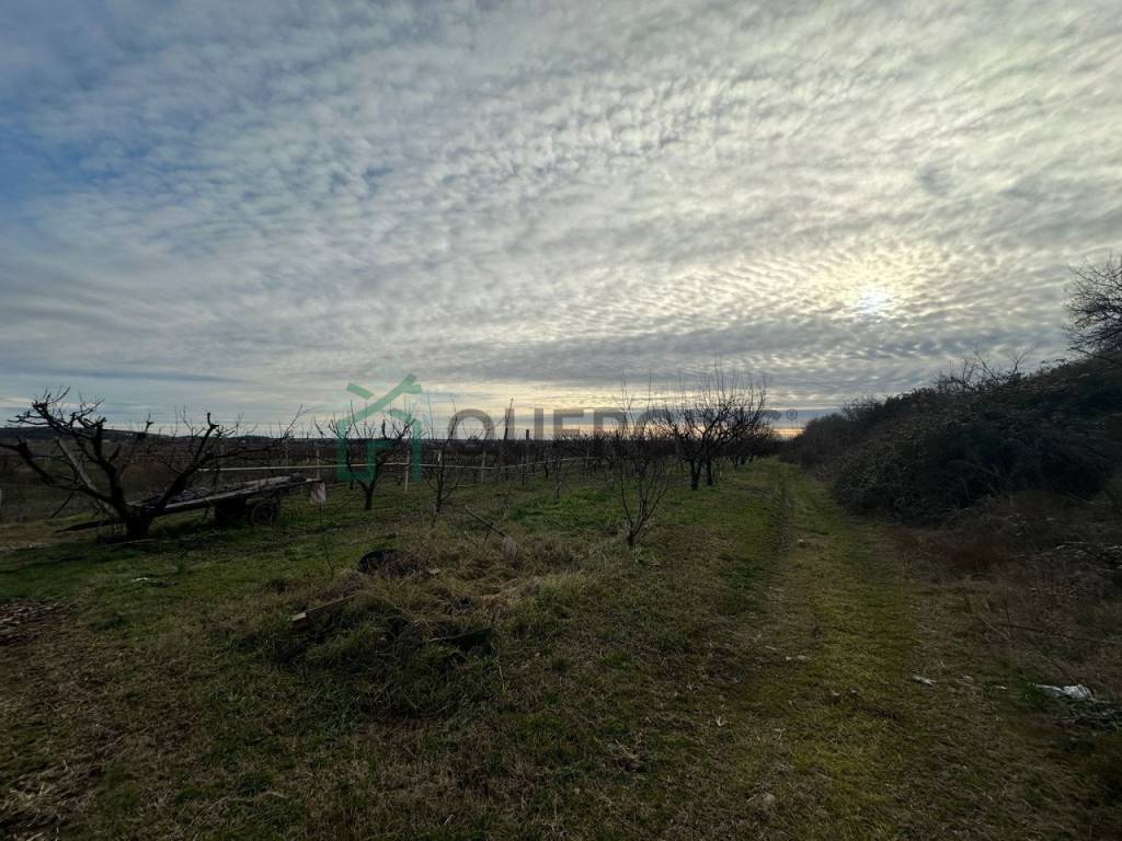Terreno a Colognola ai colli in via donzellino - Foto 2