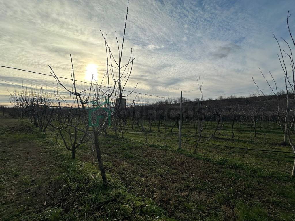 Terreno a Colognola ai colli in via donzellino - Foto 3