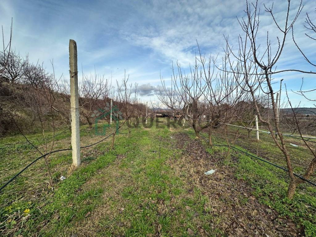 Terreno a Colognola ai colli in via donzellino - Foto 4