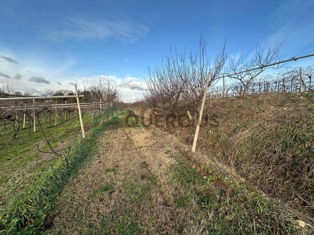 Terreno a Colognola ai colli in via donzellino - Foto 5