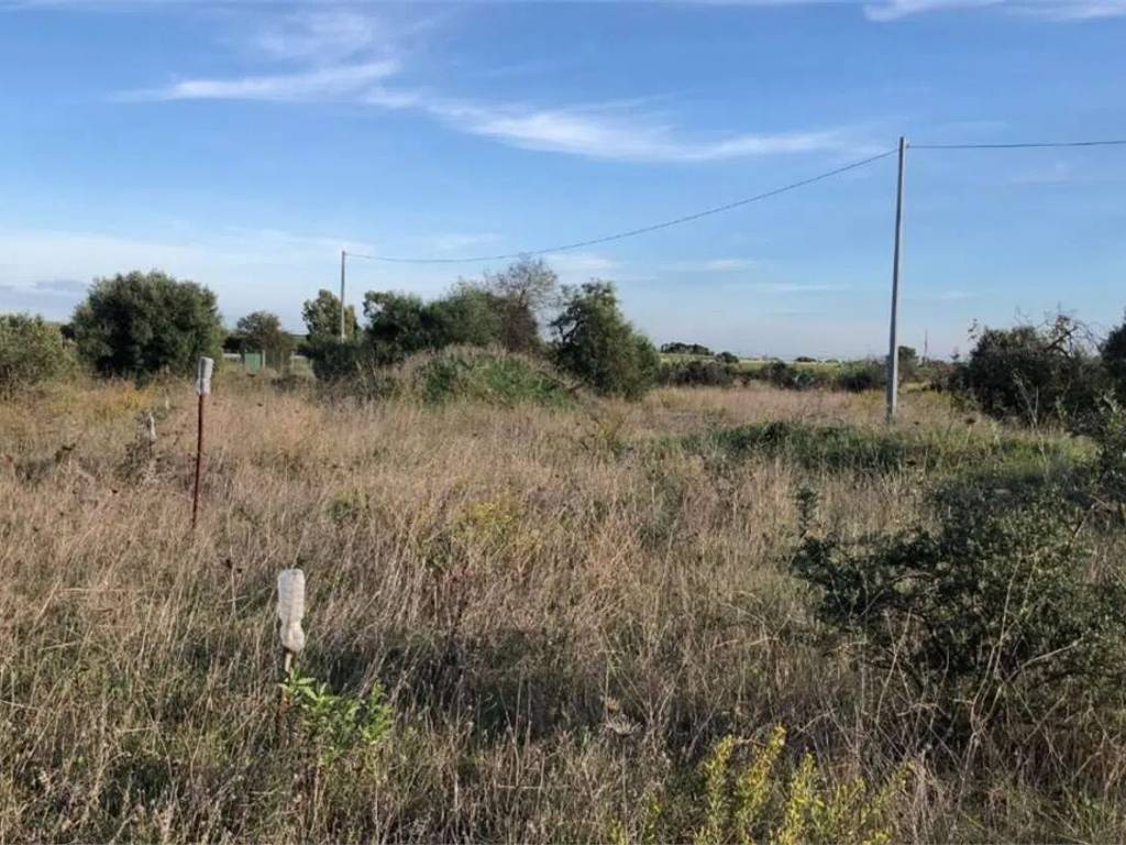 Terreno a Assemini - Foto 3