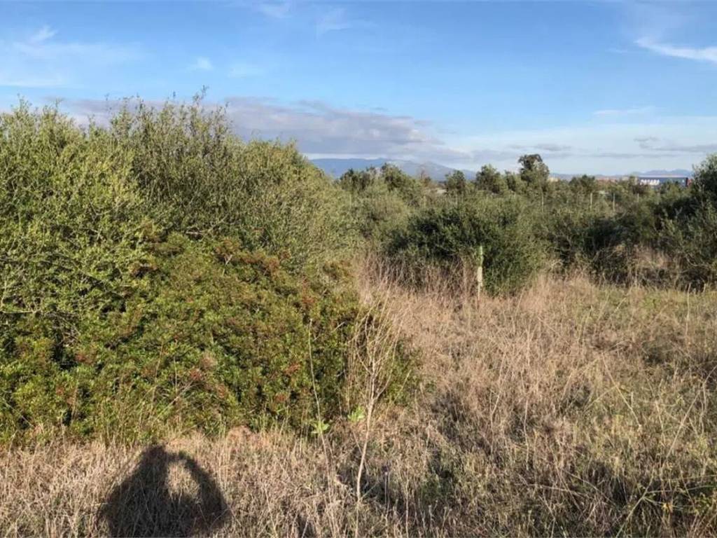 Terreno a Assemini - Foto 4