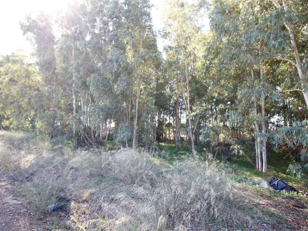 Terreno a Assemini - Foto 3