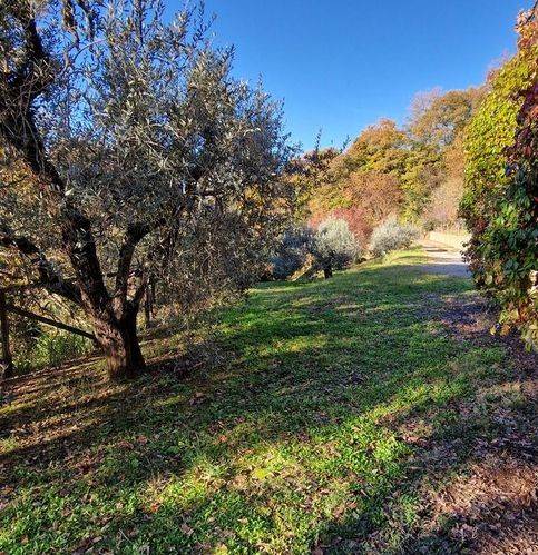 Rustico / casale a Semproniano - Foto 4