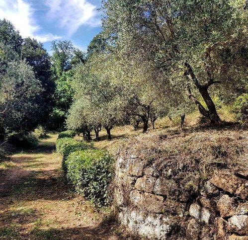 Villa a Sorano in Località Aterini - Foto 2