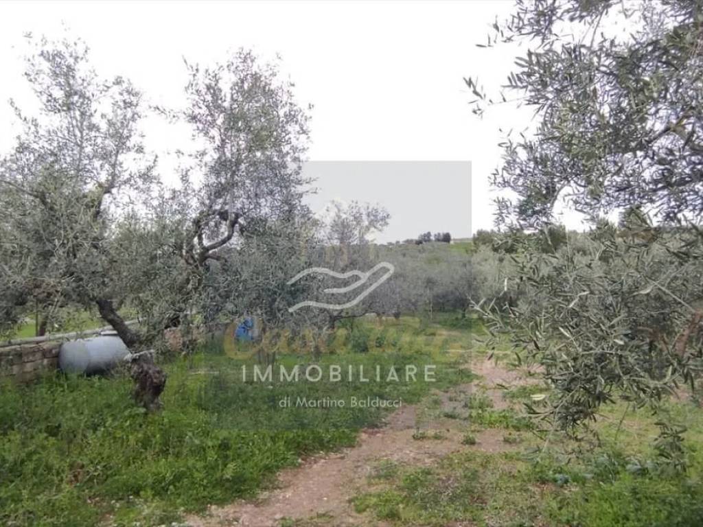 Villa a Corato in Area Residenziale Indirizzo Non Visibile Corato - Foto 4