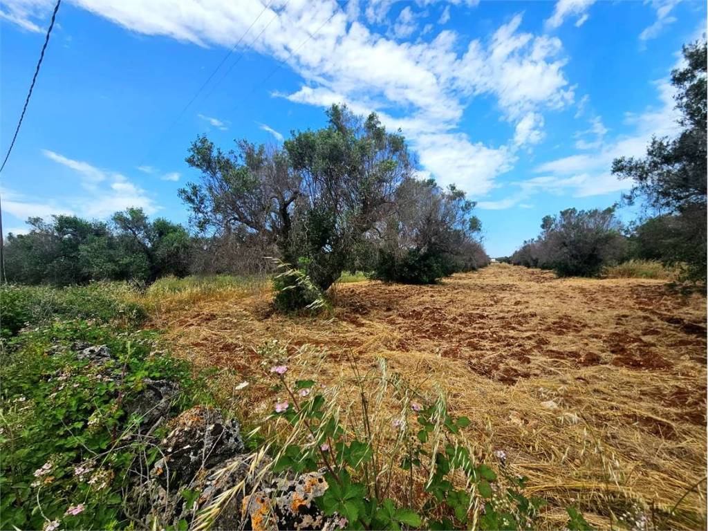 Terreno a Carovigno - Foto 3