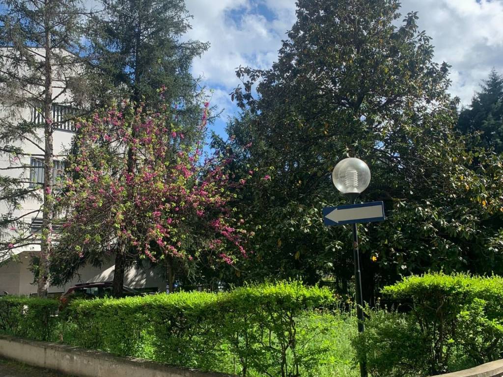 Appartamento a Bologna in Via Aldo Cividali, 11 - Foto 4