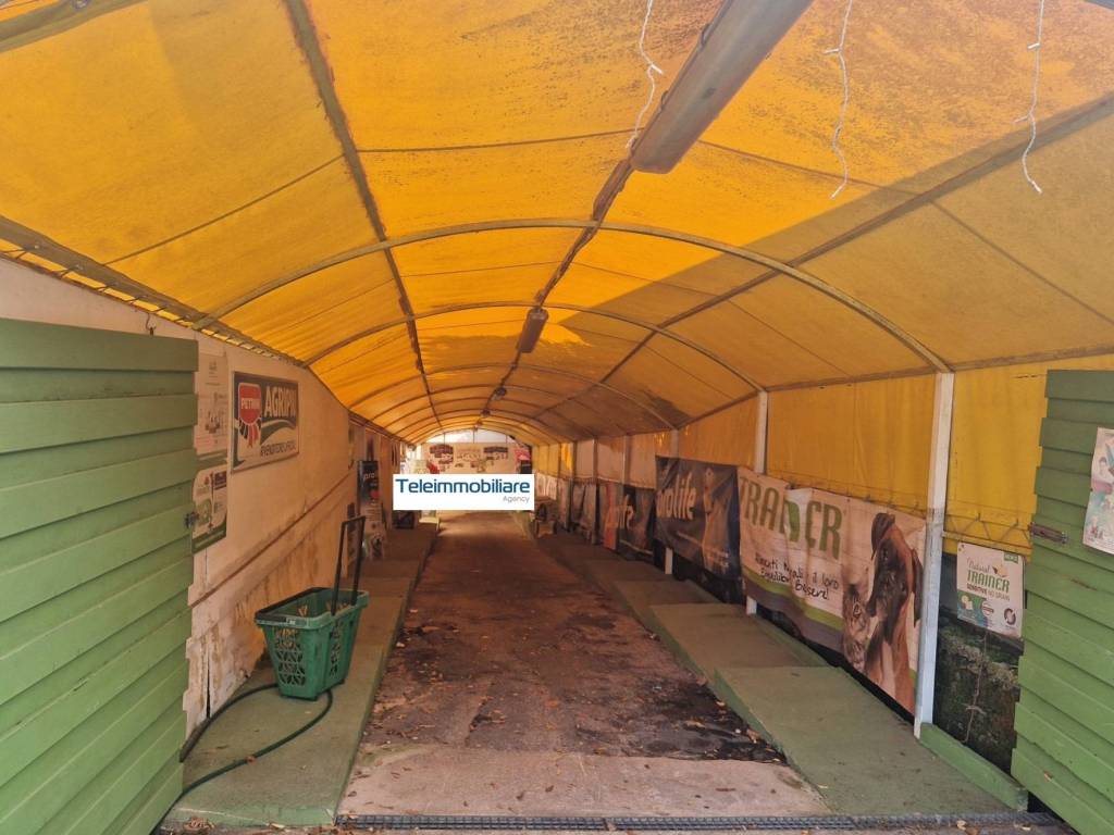 Palazzo / stabile a Sabaudia in Via Principe Biancamano, 32 - Foto 4