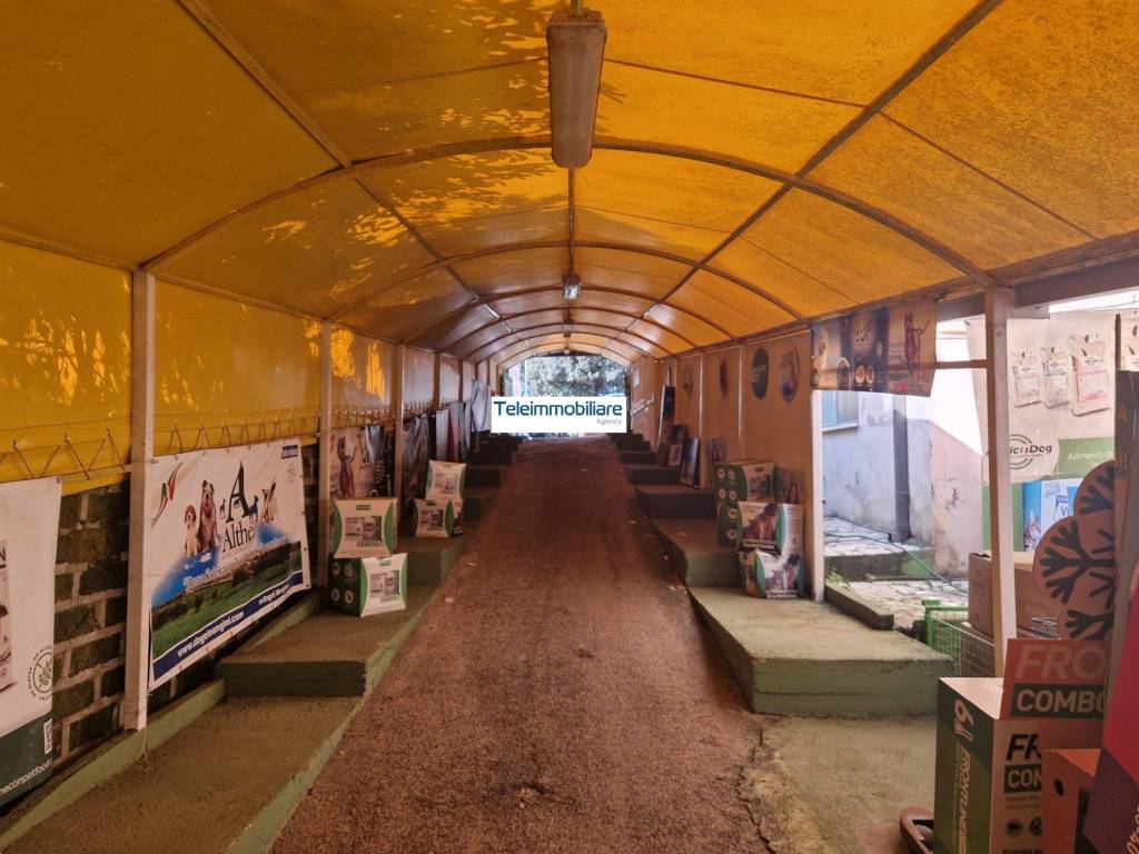 Palazzo / stabile a Sabaudia in Via Principe Biancamano, 32 - Foto 5