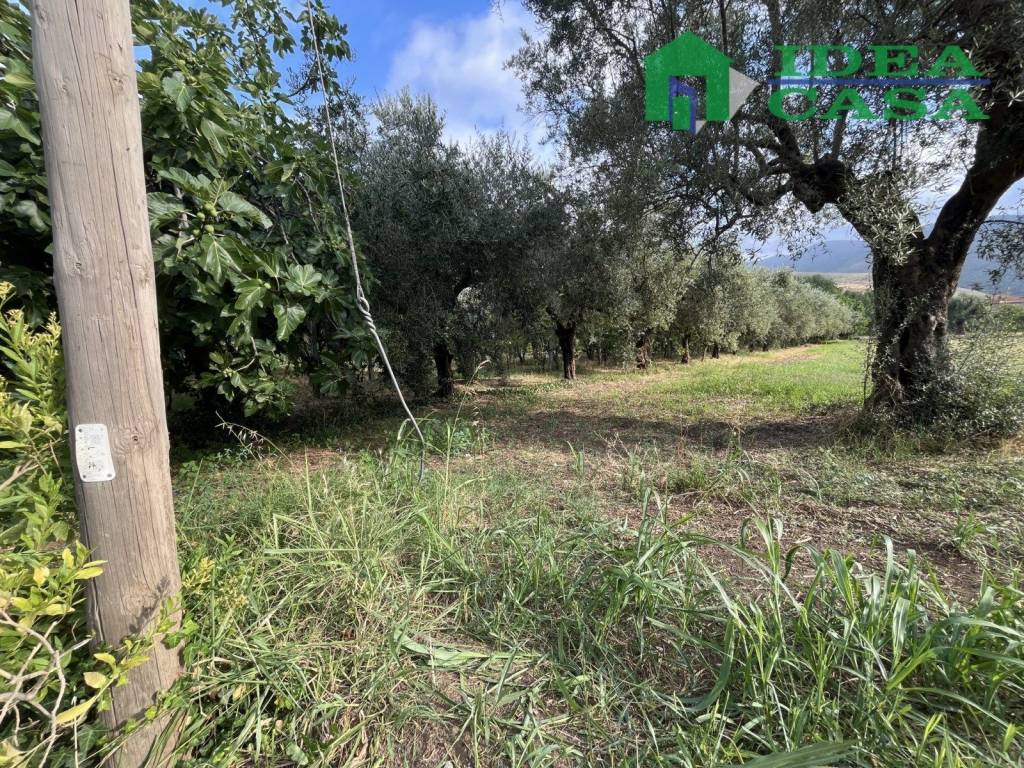 Terreno a Camigliano in Via San Martino - Foto 5
