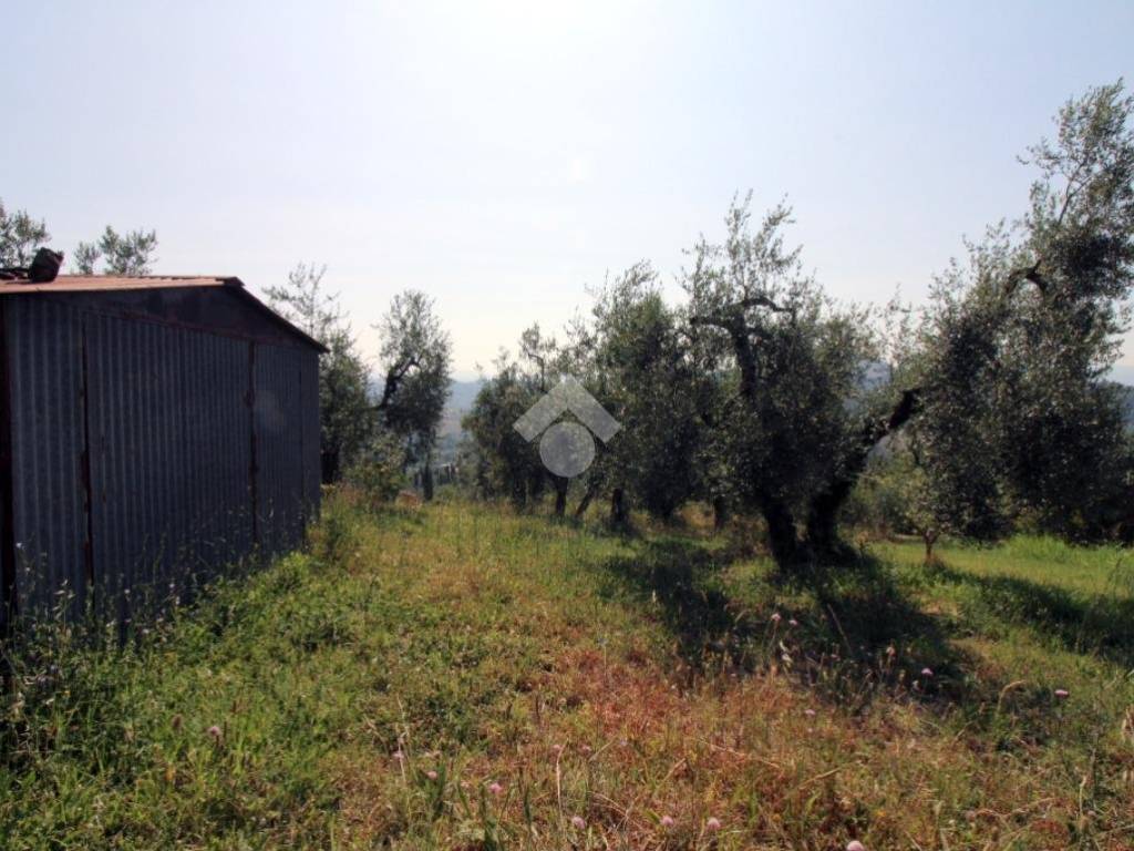 Terreno a Montopoli di sabina in Via casenove granari - Foto 3