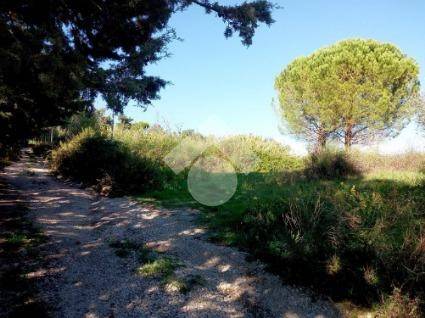 Terreno a Montopoli di sabina in Via casenove granari - Foto 5