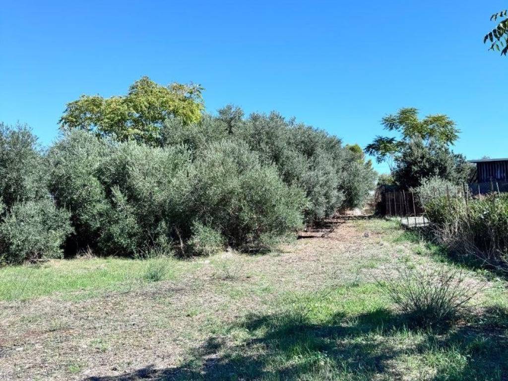 Terreno a Gaeta - Foto 4