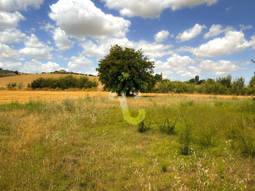 Rustico / casale a Monte roberto - Foto 2