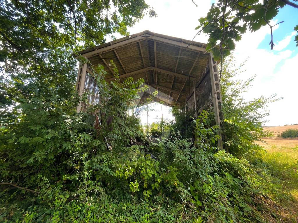 Rustico / casale a Monte roberto - Foto 4