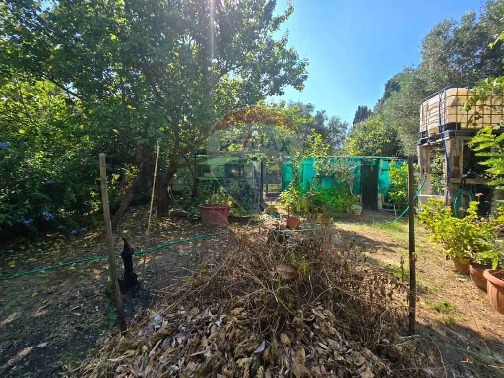 Terreno a Piombino - Foto 2