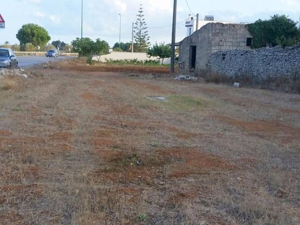 Terreno a Montesano salentino - Foto 3