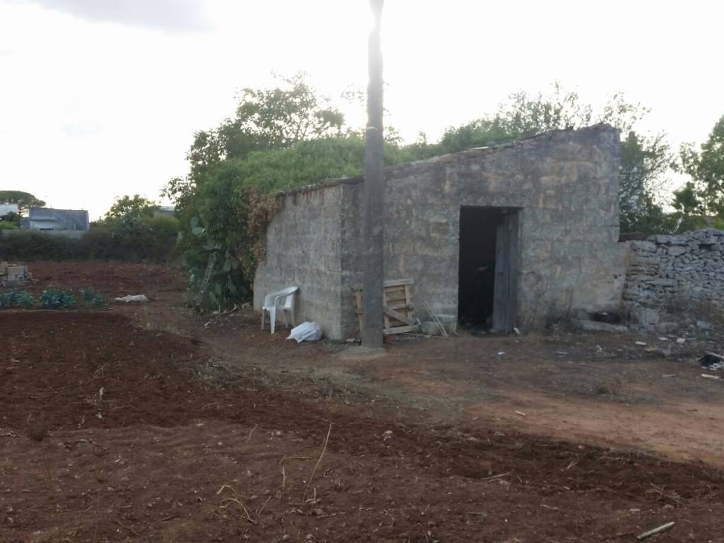 Terreno a Montesano salentino - Foto 4