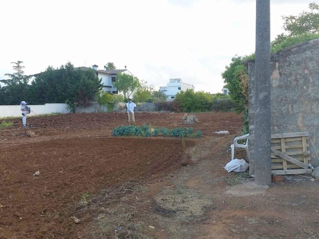 Terreno a Montesano salentino - Foto 5