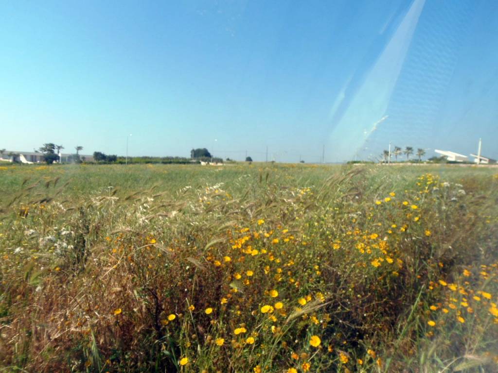 Terreno a Ragusa in Strada per Ragusa - Foto 2