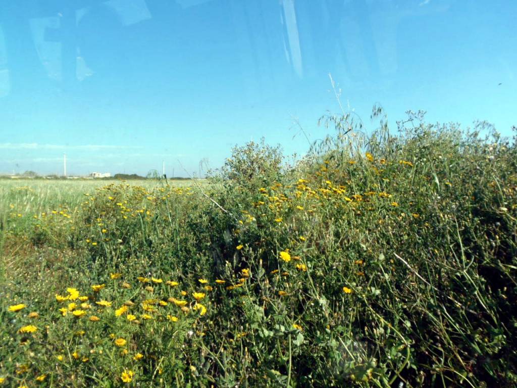 Terreno a Ragusa in Strada per Ragusa - Foto 3