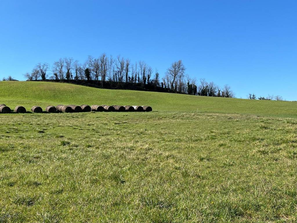 Terreno a Rivergaro in loc Ca di Co' - Foto 2