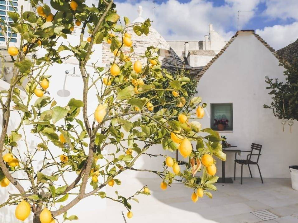 Rustico / casale a Alberobello in Via Giosuè Carducci - Foto 5