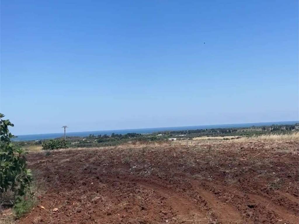 Terreno a Carovigno - Foto 4
