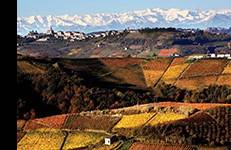 Terreno a Serralunga d'alba - Foto 2