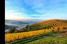 Terreno a Serralunga d'alba - Foto 3