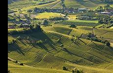 Terreno a Monforte d'alba - Foto 3