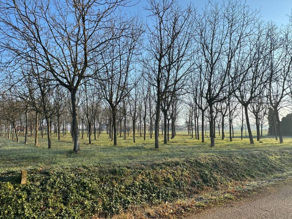 Terreno a Castrocielo in Via Pozzo Comune - Foto 2