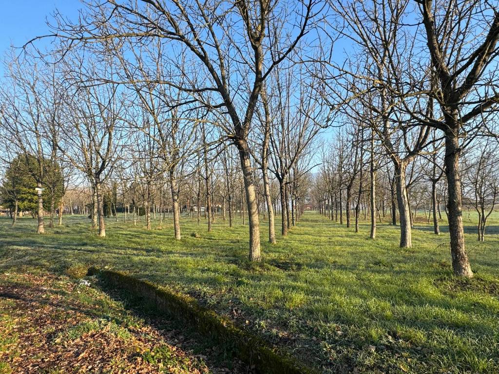 Terreno a Castrocielo in Via Pozzo Comune - Foto 5
