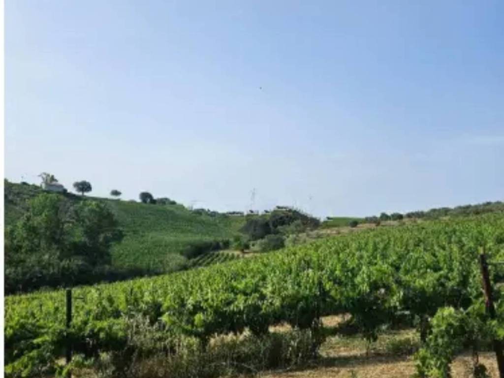 Rustico / casale a Città sant'angelo in Via Sorripe - Foto 5
