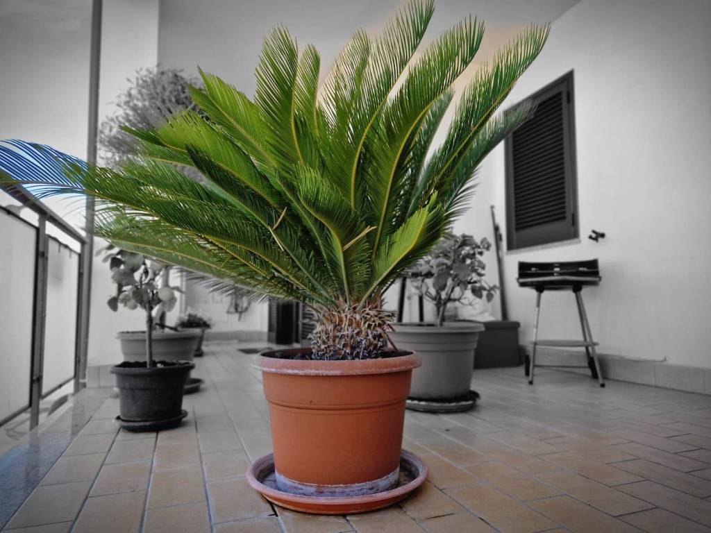 Appartamento a Viterbo - Foto 3