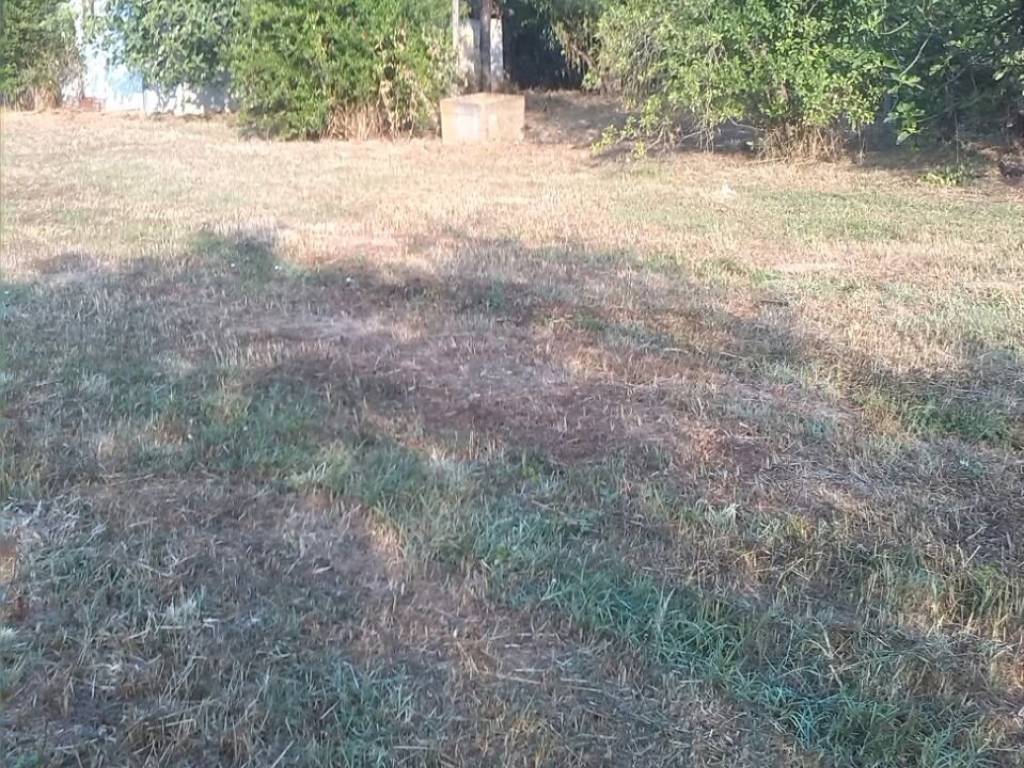 Terreno a Ferentino - Foto 3