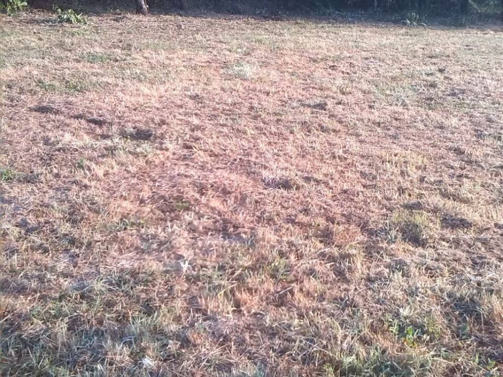 Terreno a Ferentino - Foto 4