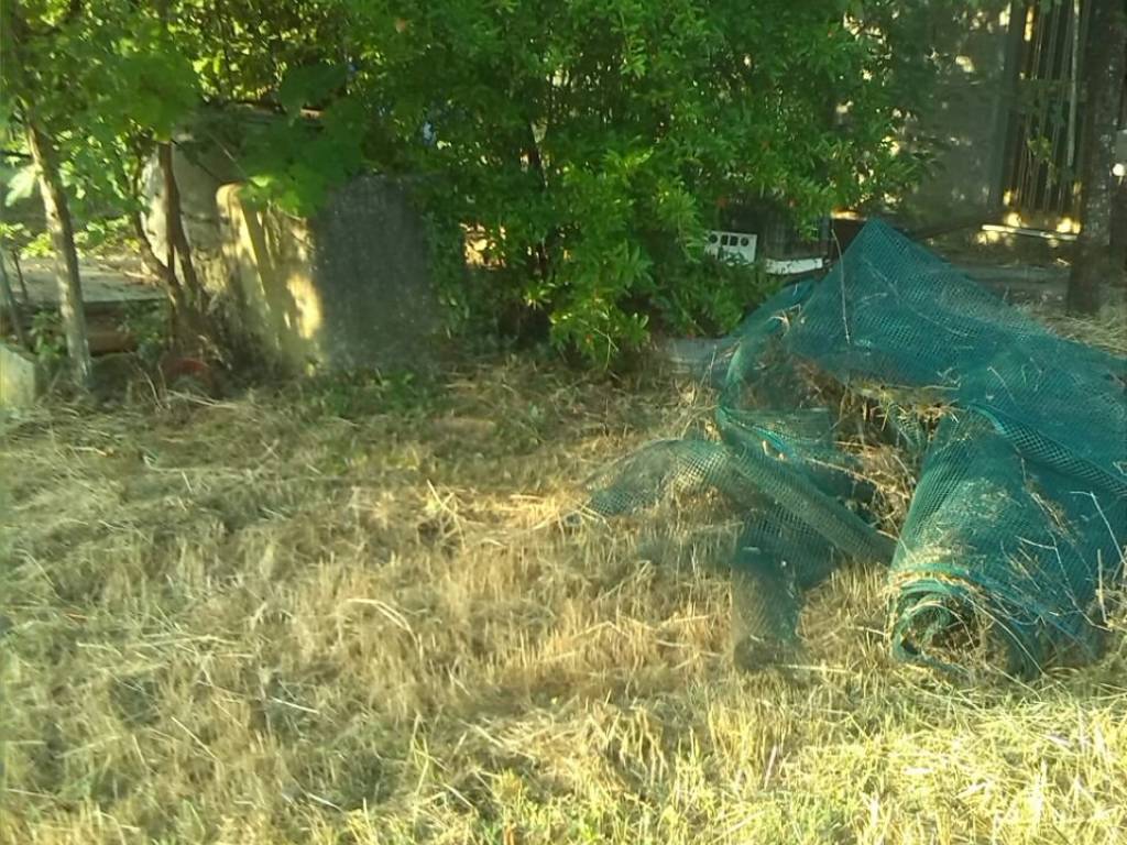 Terreno a Ferentino - Foto 5