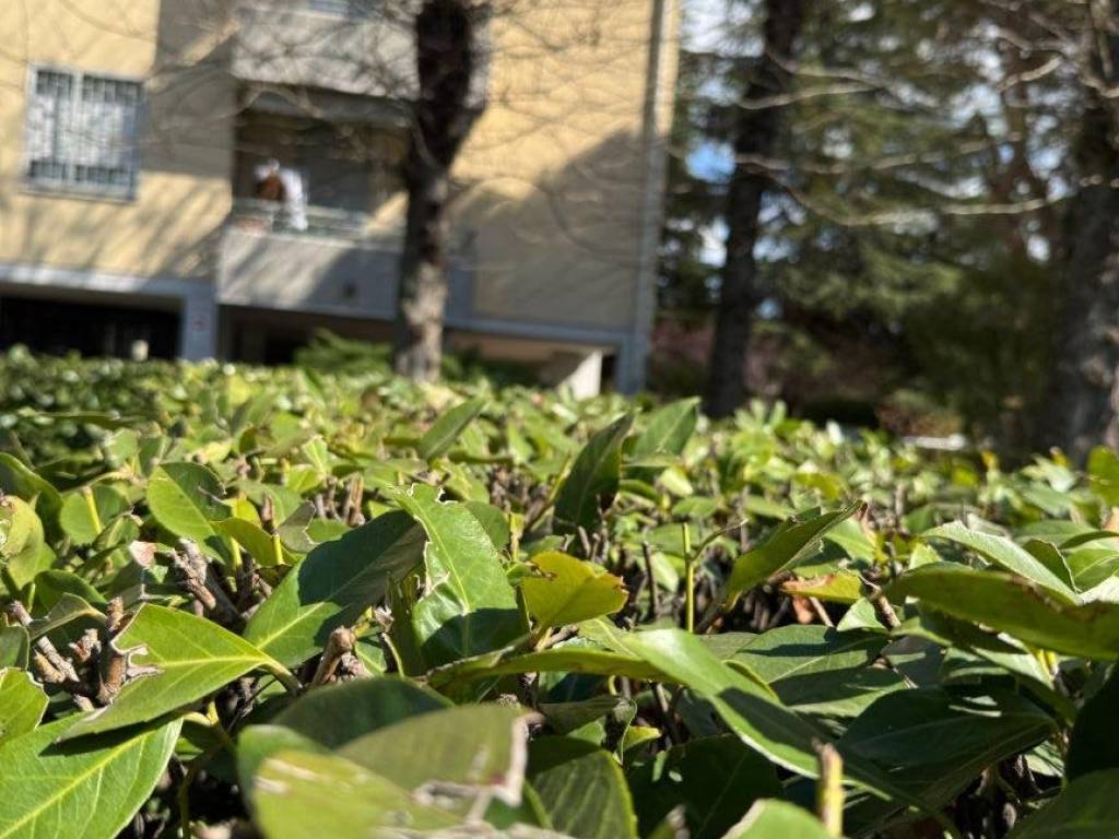 Appartamento a Casalecchio di reno in Via Caduti di Cefalonia, 11 - Foto 3