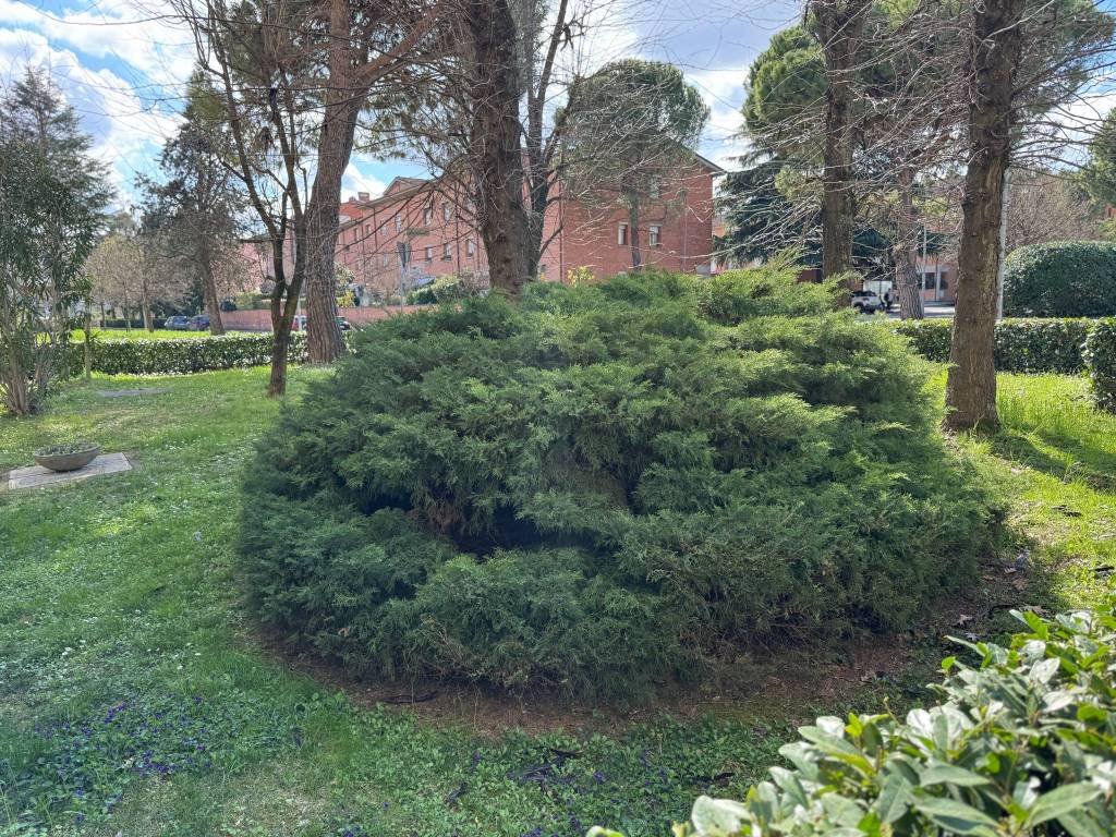 Appartamento a Casalecchio di reno in Via Caduti di Cefalonia, 11 - Foto 4