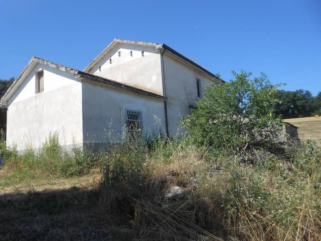 Rustico / casale a Buonalbergo in via boschetto - Foto 2