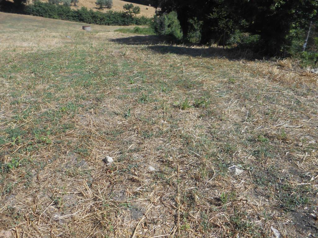 Rustico / casale a Buonalbergo in via boschetto - Foto 3