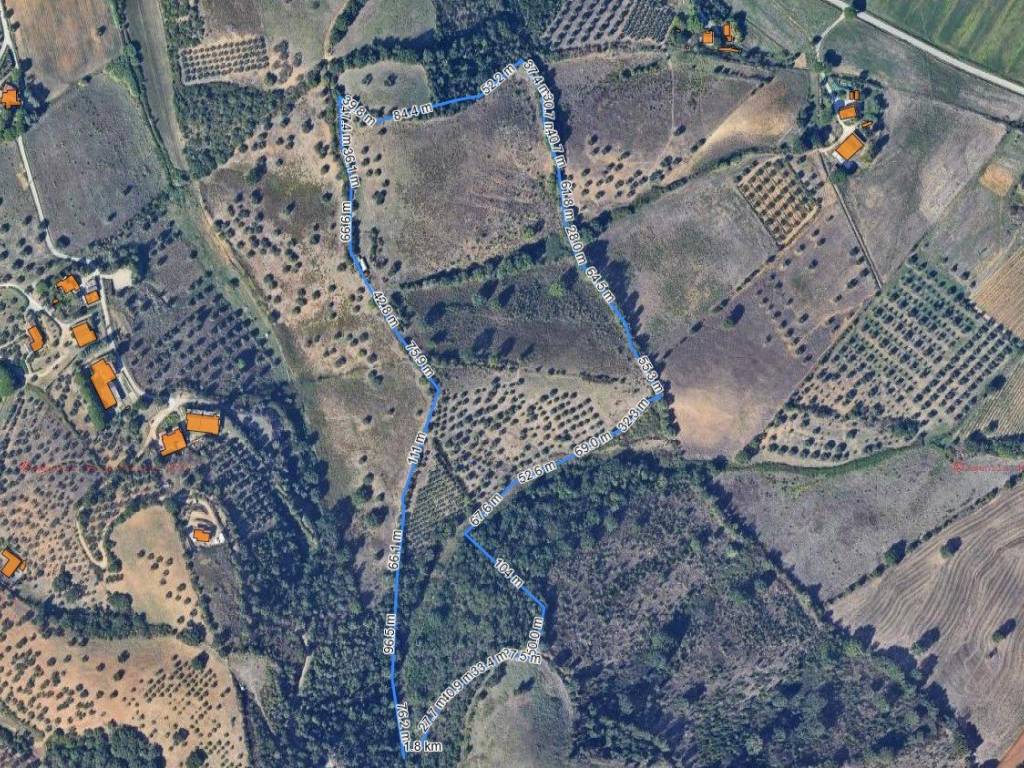 Terreno a Grosseto - Foto 3