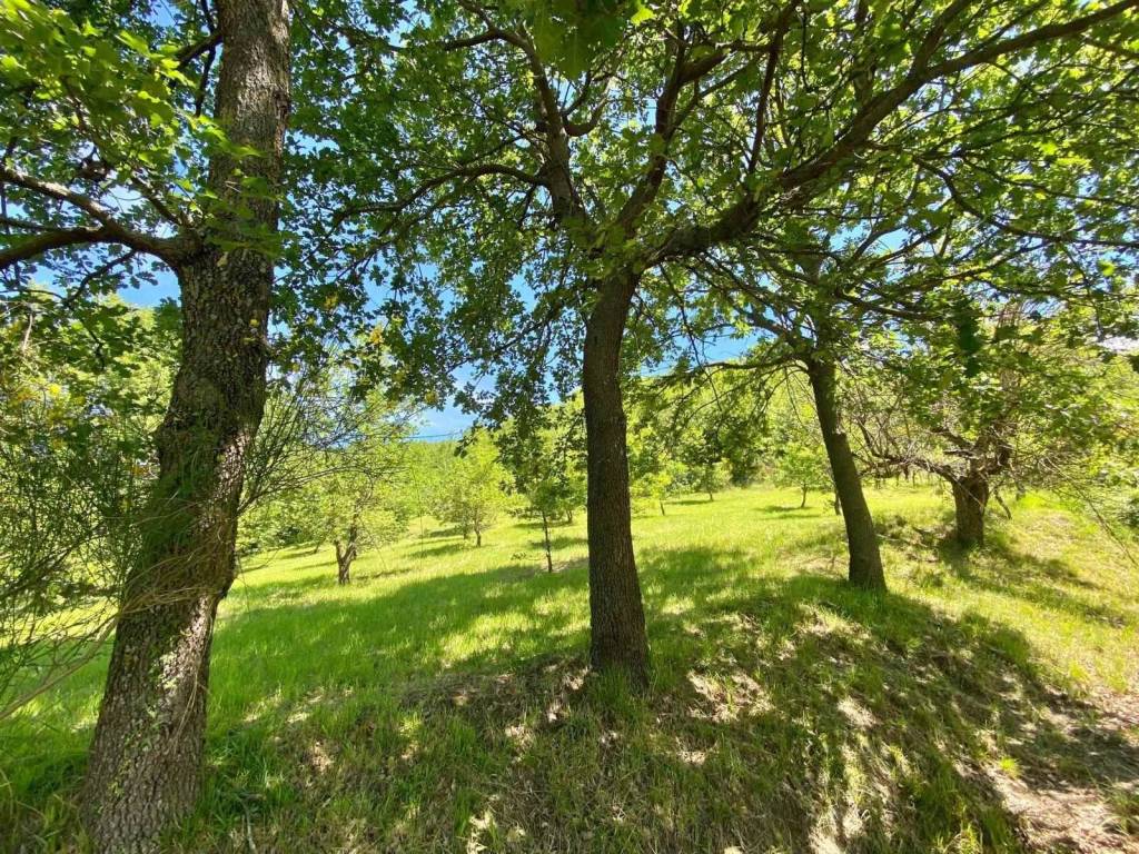 Rustico / casale a Urbino - Foto 2