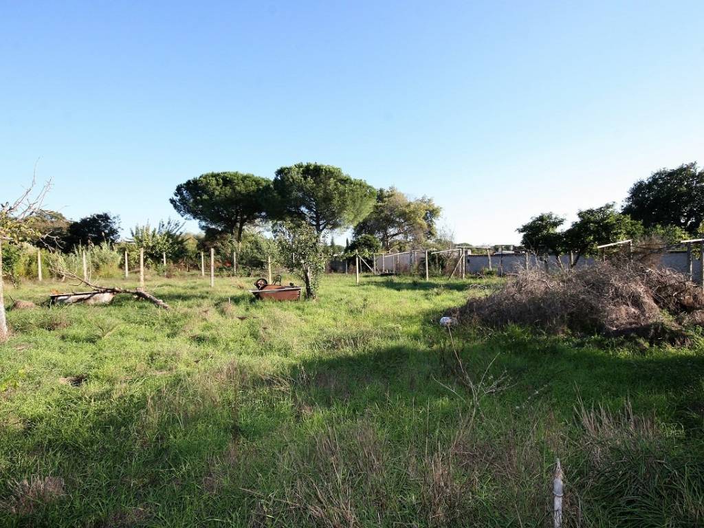 Terreno a Roma in Via Tullio Serafin - Foto 2
