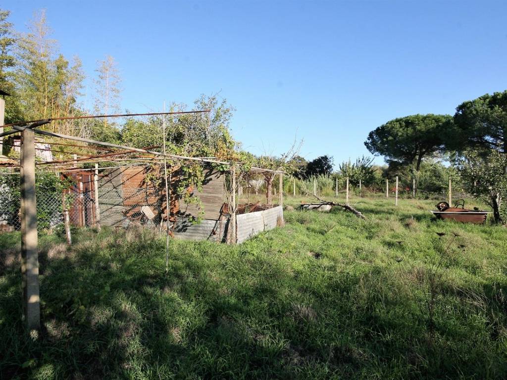 Terreno a Roma in Via Tullio Serafin - Foto 3