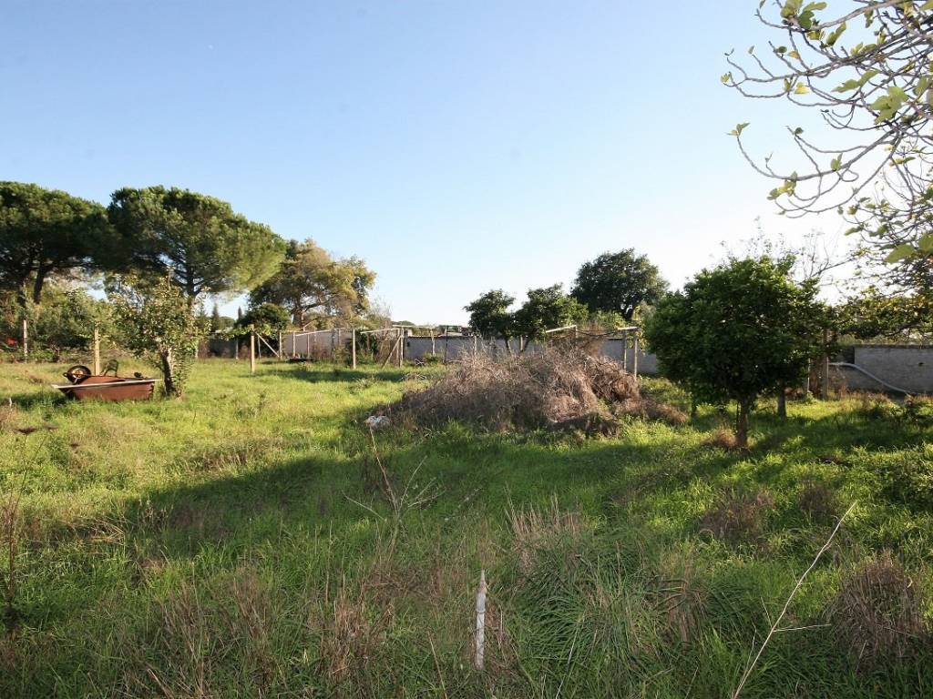 Terreno a Roma in Via Tullio Serafin - Foto 5